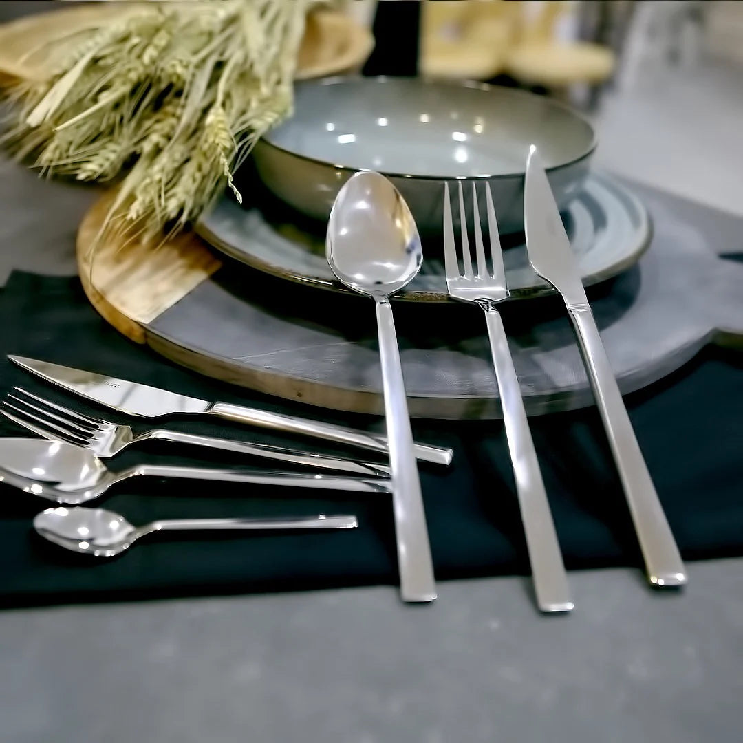 Fecra Doga 101 Piece Stainless Steel Cutlery Set for 12 People, Silver